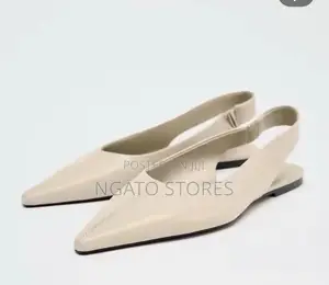 Ladies Flat Pointed Toe Classic Flats