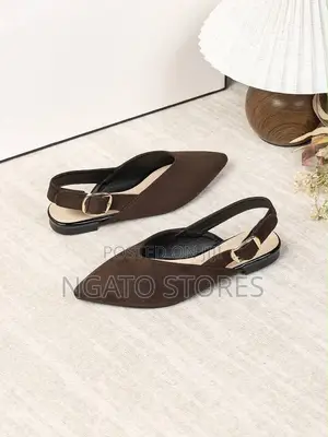 Ladies Flat Pointed Toe Classic Flats