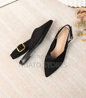 Ladies Flat Pointed Toe Classic Flats