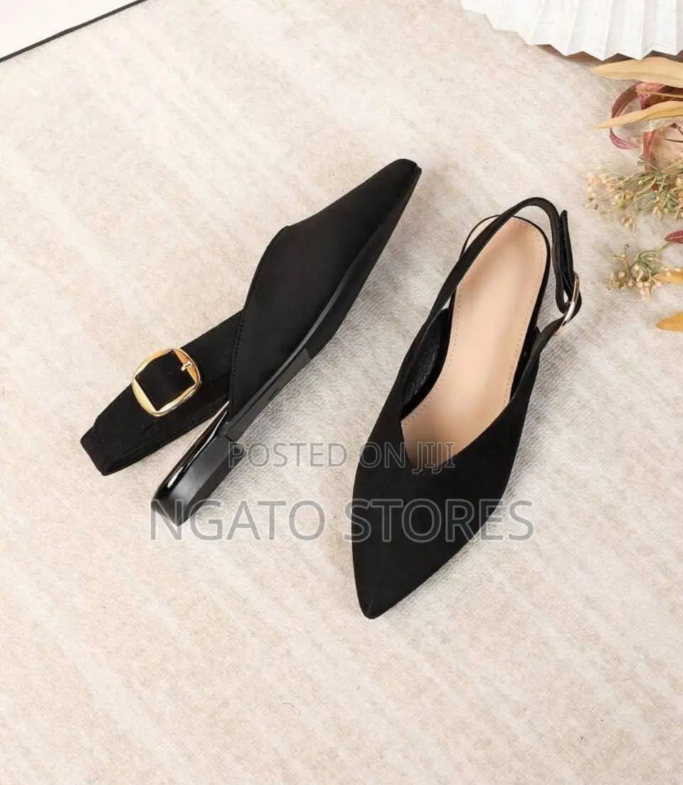 Ladies Flat Pointed Toe Classic Flats