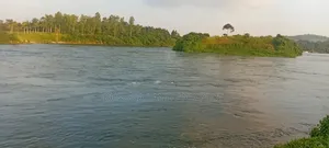 2.5 Acres River Nile Waterfront Land for Sale – Jinja District