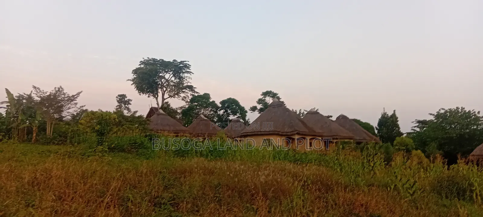 2.5 Acres River Nile Waterfront Land for Sale – Jinja District