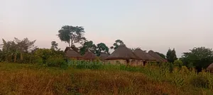 2.5 Acres River Nile Waterfront Land for Sale – Jinja District