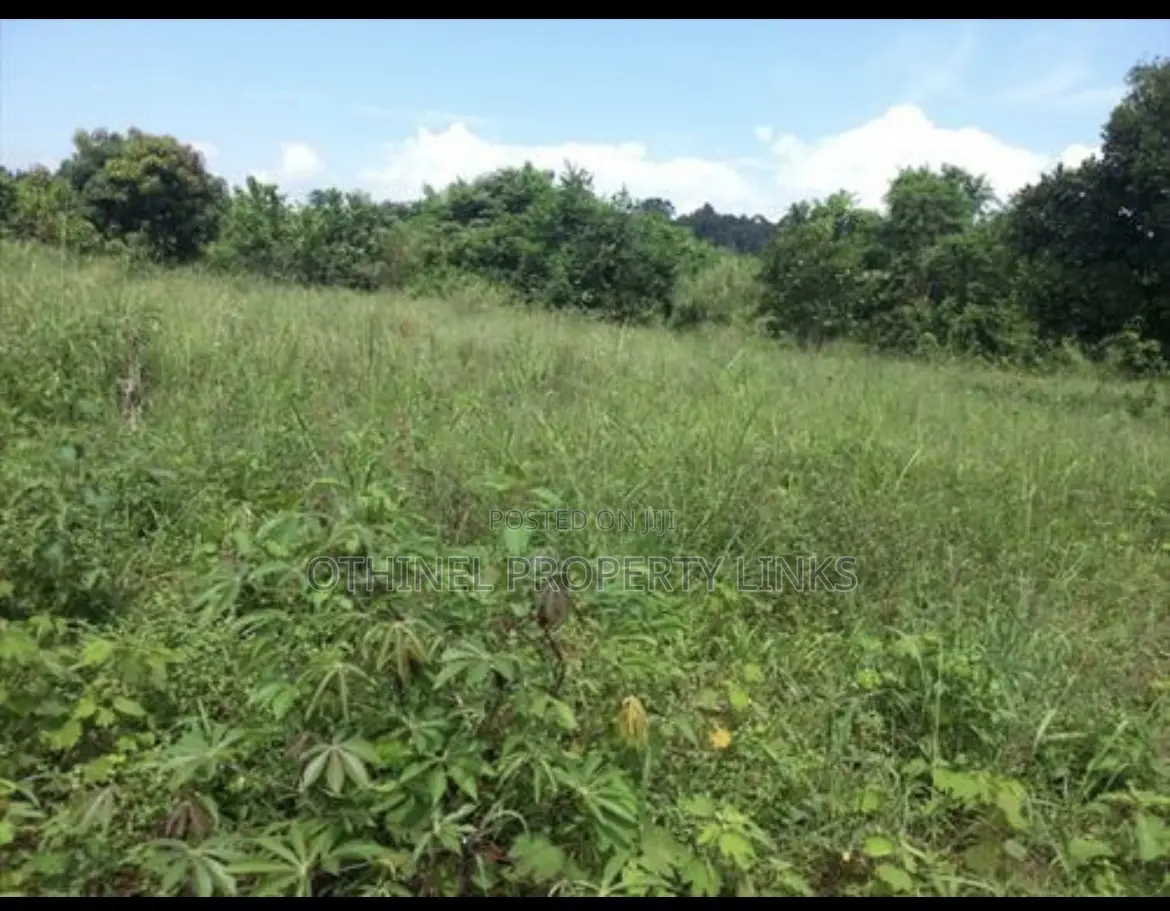 Land for Sale