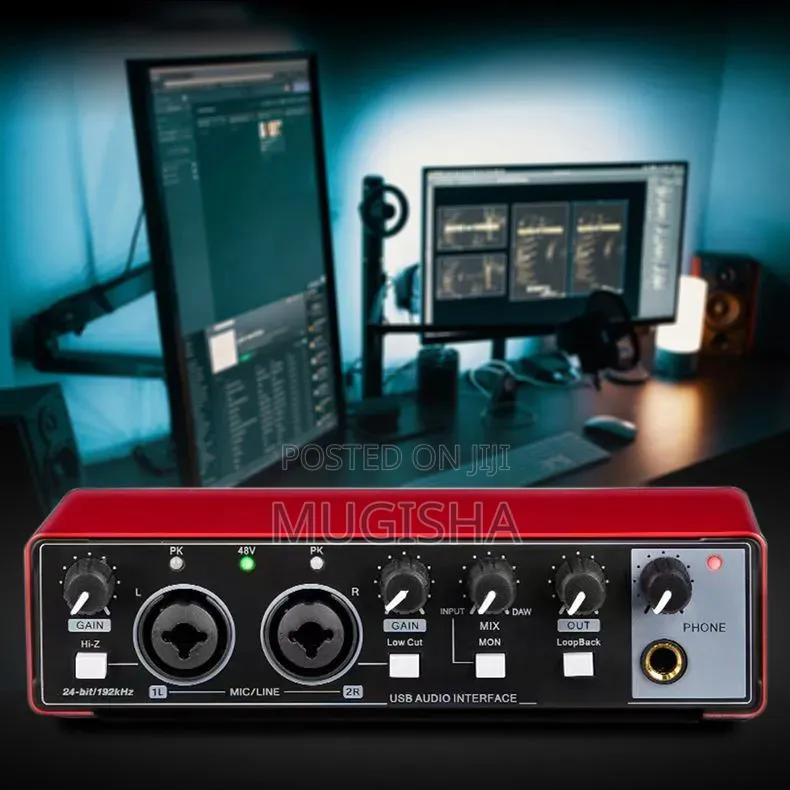 USB Audio Interface