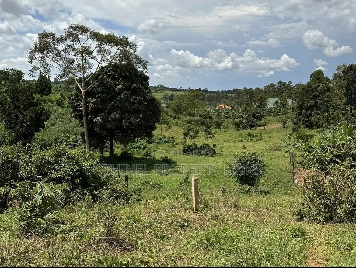 Land for Sale