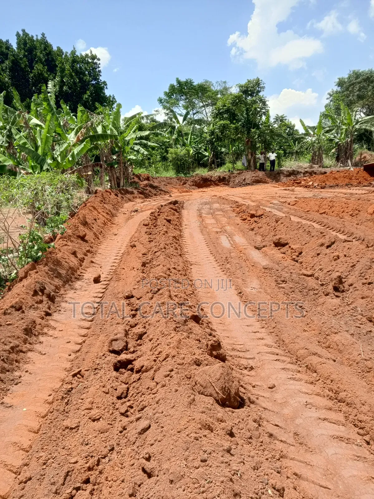 Land, Estate Grading and Landscaping Services