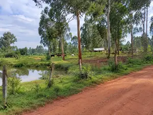 Land for Sale in Luweero District