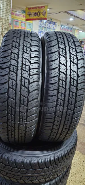225/70r17 Dunlop Grandtrek