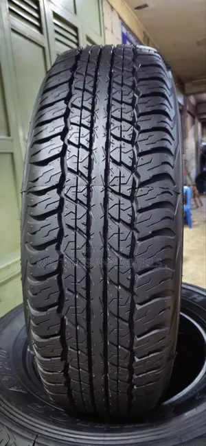 225/70r17 Dunlop Grandtrek