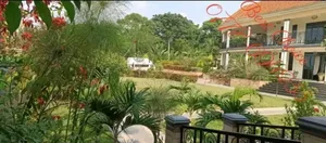Compound Designing/Land Scaping Services Where Nature Meets Luxury