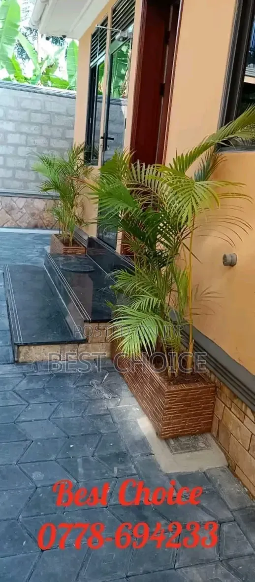 Compound Designing/Land Scaping Services Where Nature Meets Luxury