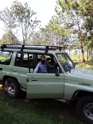 Toyota Land Cruiser 1991 Green