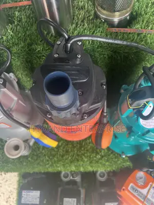 Submersible Pump Pedrollo