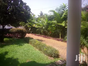 4 Bedroom House In Naguru For Rent