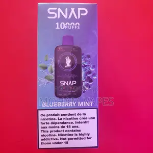 Snap Vape 10000puffs