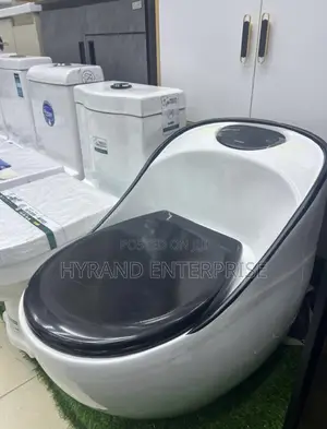 Executive Toilets