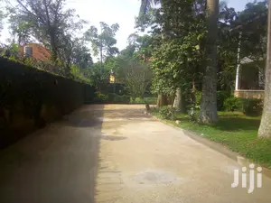 Fully Furnished House In Kitante For Rent