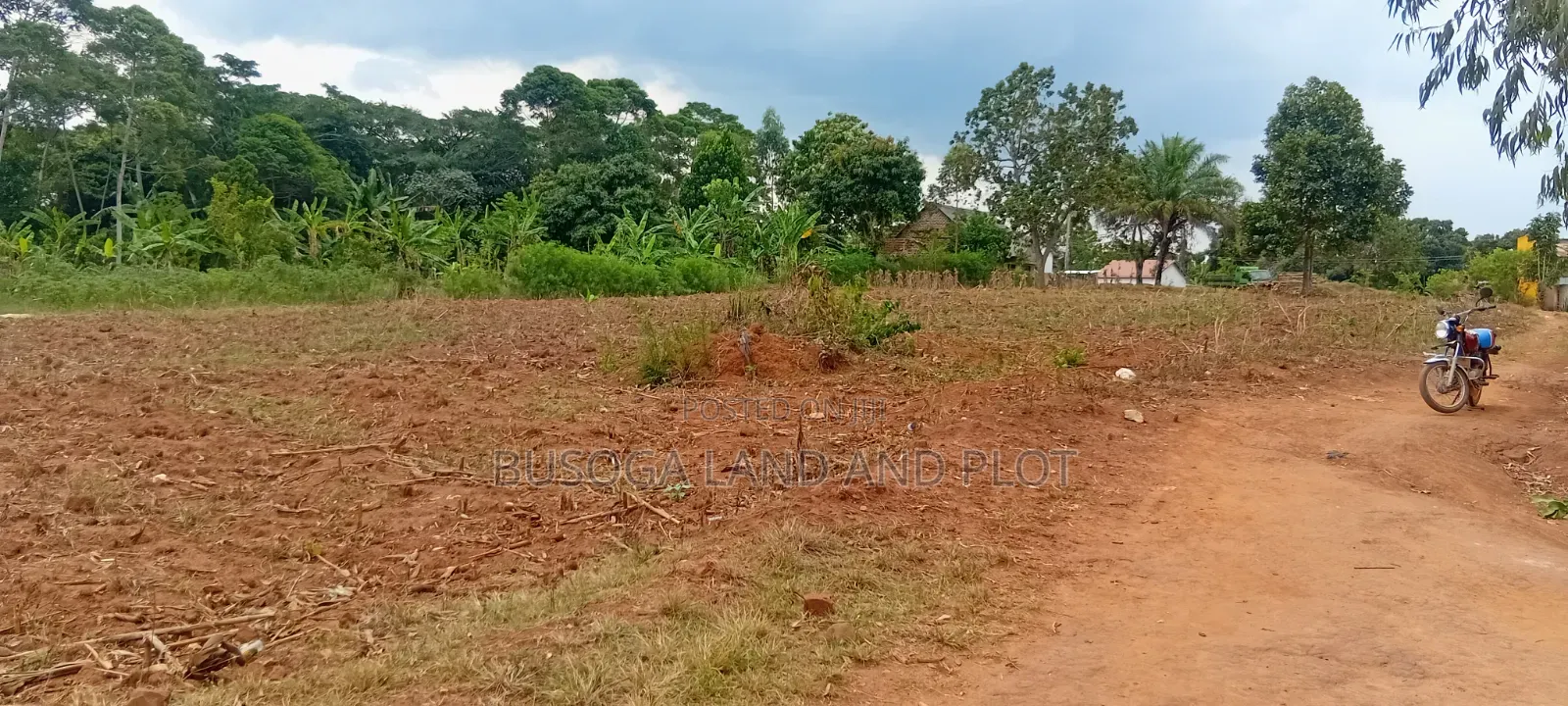 80×100 Ft 50×100 Ft Plots for Sale on Kafunta–Nyenga Highway, Njeru.