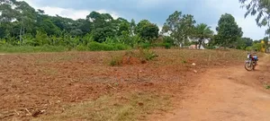 80×100 Ft 50×100 Ft Plots for Sale on Kafunta–Nyenga Highway, Njeru.