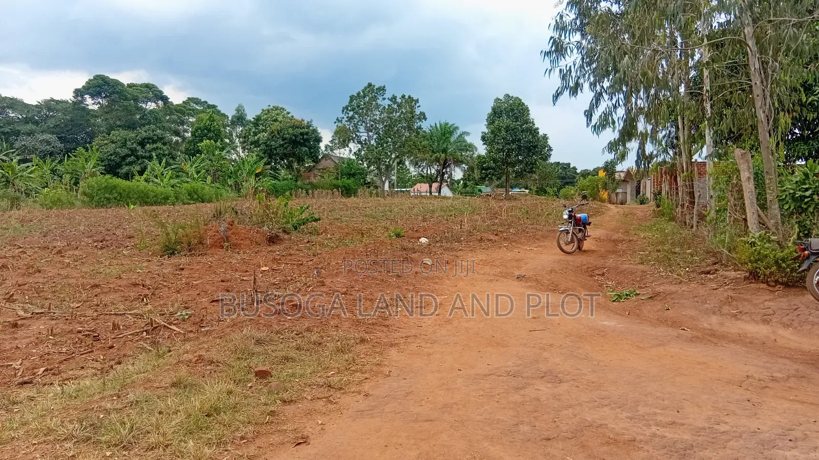 80×100 Ft 50×100 Ft Plots for Sale on Kafunta–Nyenga Highway, Njeru.