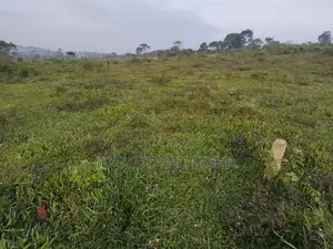 Land in Bukerere Boardering National Housing