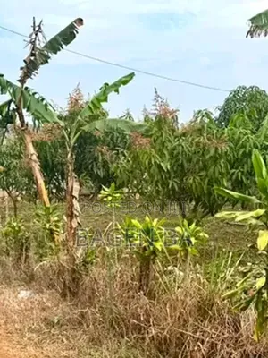 Nakawuka Town Prime Land