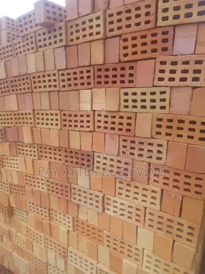 White Selected Bricks