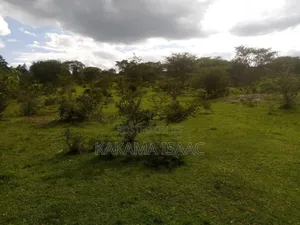 Farmland for Sale in Rwetamu Kiruhura District