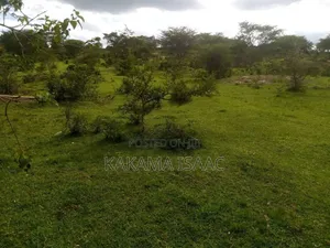 Farmland for Sale in Rwetamu Kiruhura District