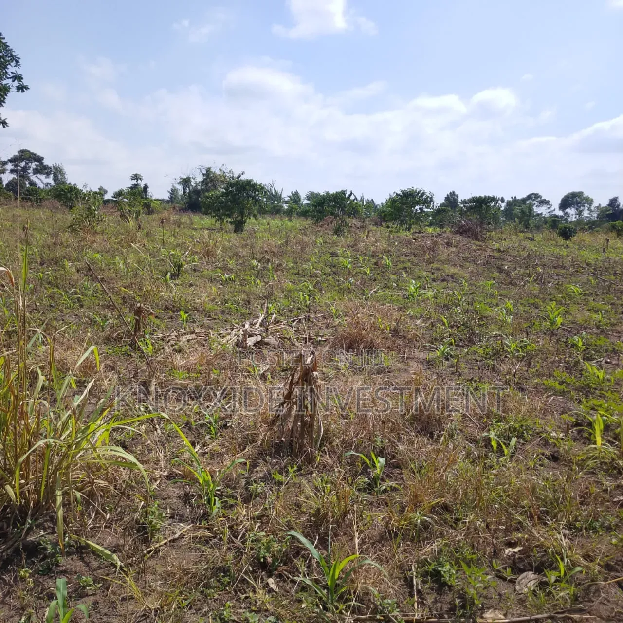 Land for Sell 4acres Katikamu Luwero Kiberenge