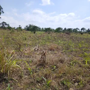 Land for Sell 4acres Katikamu Luwero Kiberenge
