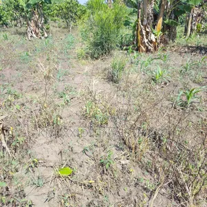 Land for Sell 4acres Katikamu Luwero Kiberenge