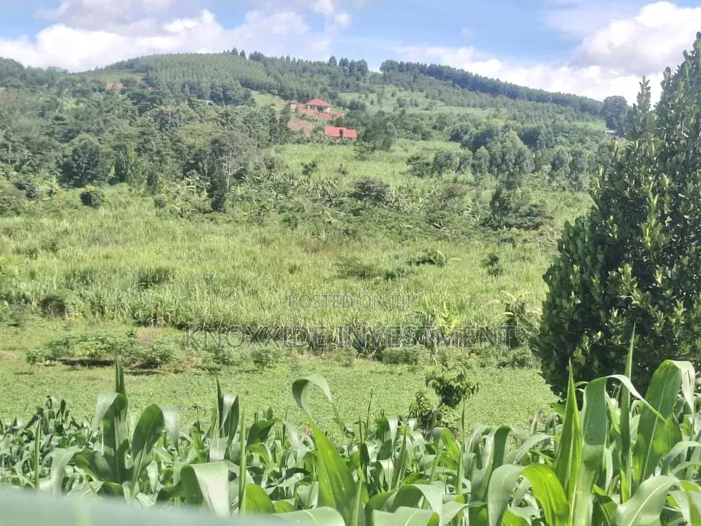 Land for Sell 4acres Katikamu Luwero Kiberenge