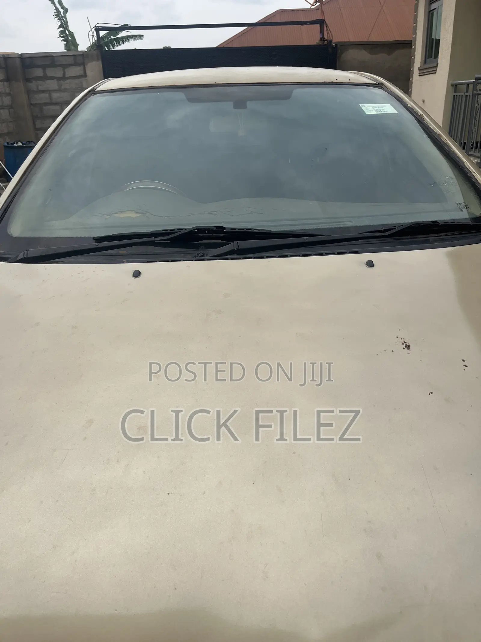 Toyota Allex 2004 Gold