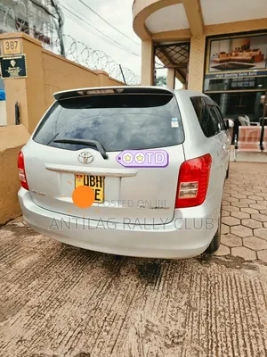 Toyota Corolla Fielder 2008 Silver