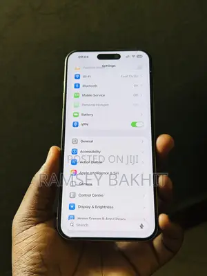 Apple iPhone 15 Pro Max 256 GB Gray