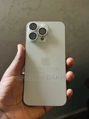 Apple iPhone 15 Pro Max 256 GB Gray