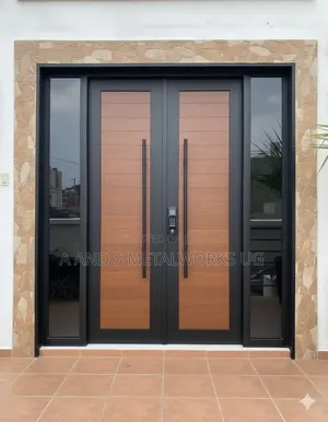 Modern Doors