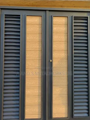 Modern Doors