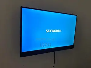 Television