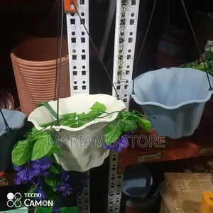 Plastic Hanging Planters