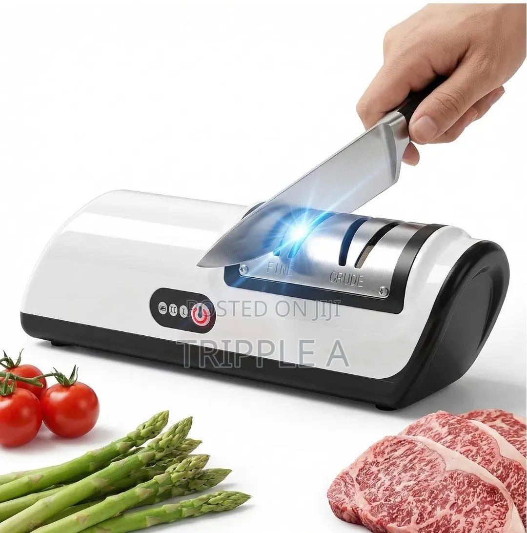 Professional Electric Knife Sharpener