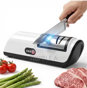 Professional Electric Knife Sharpener