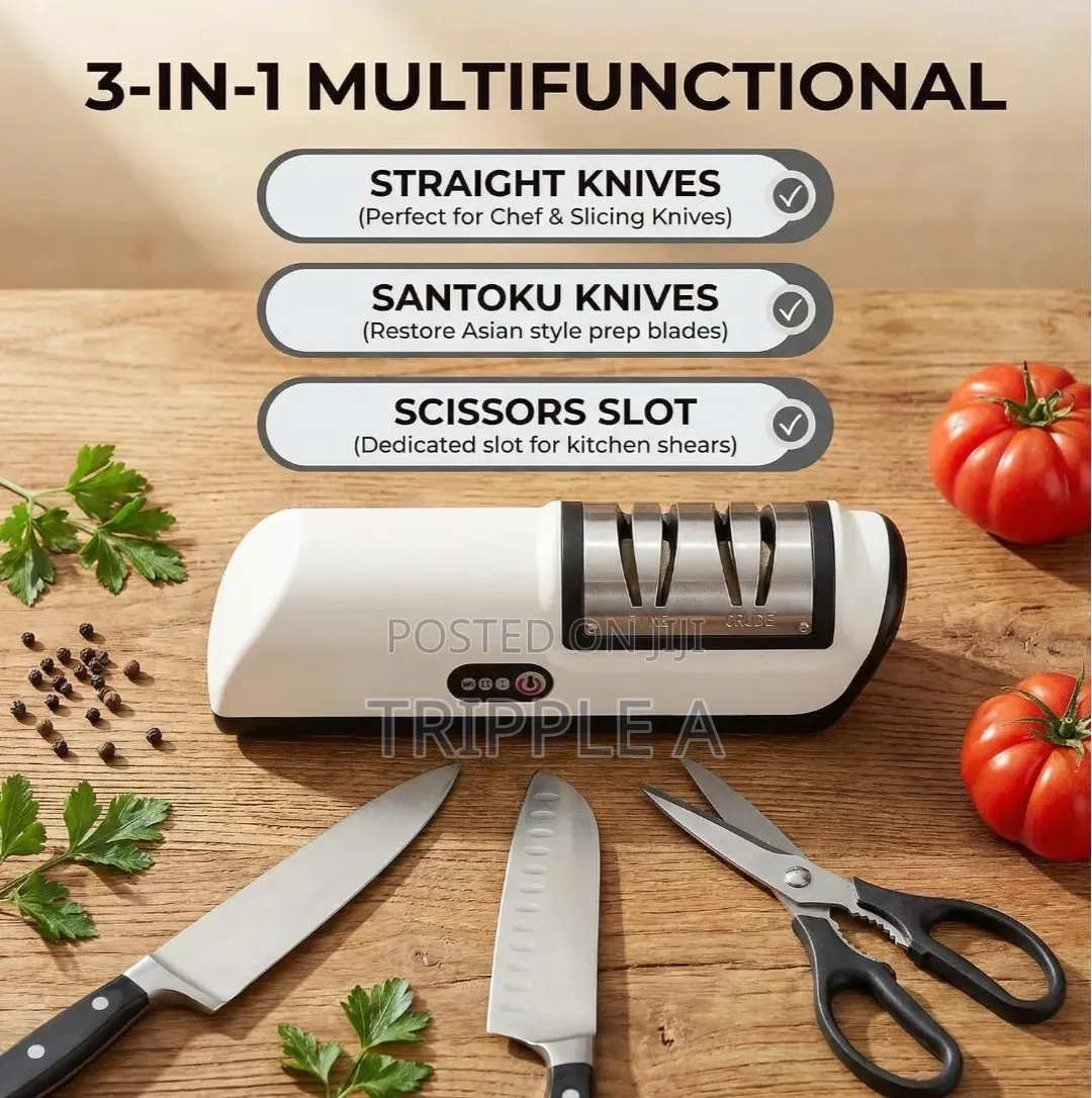 Professional Electric Knife Sharpener