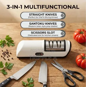 Professional Electric Knife Sharpener
