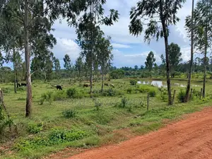 Land for Sale in Luweero District