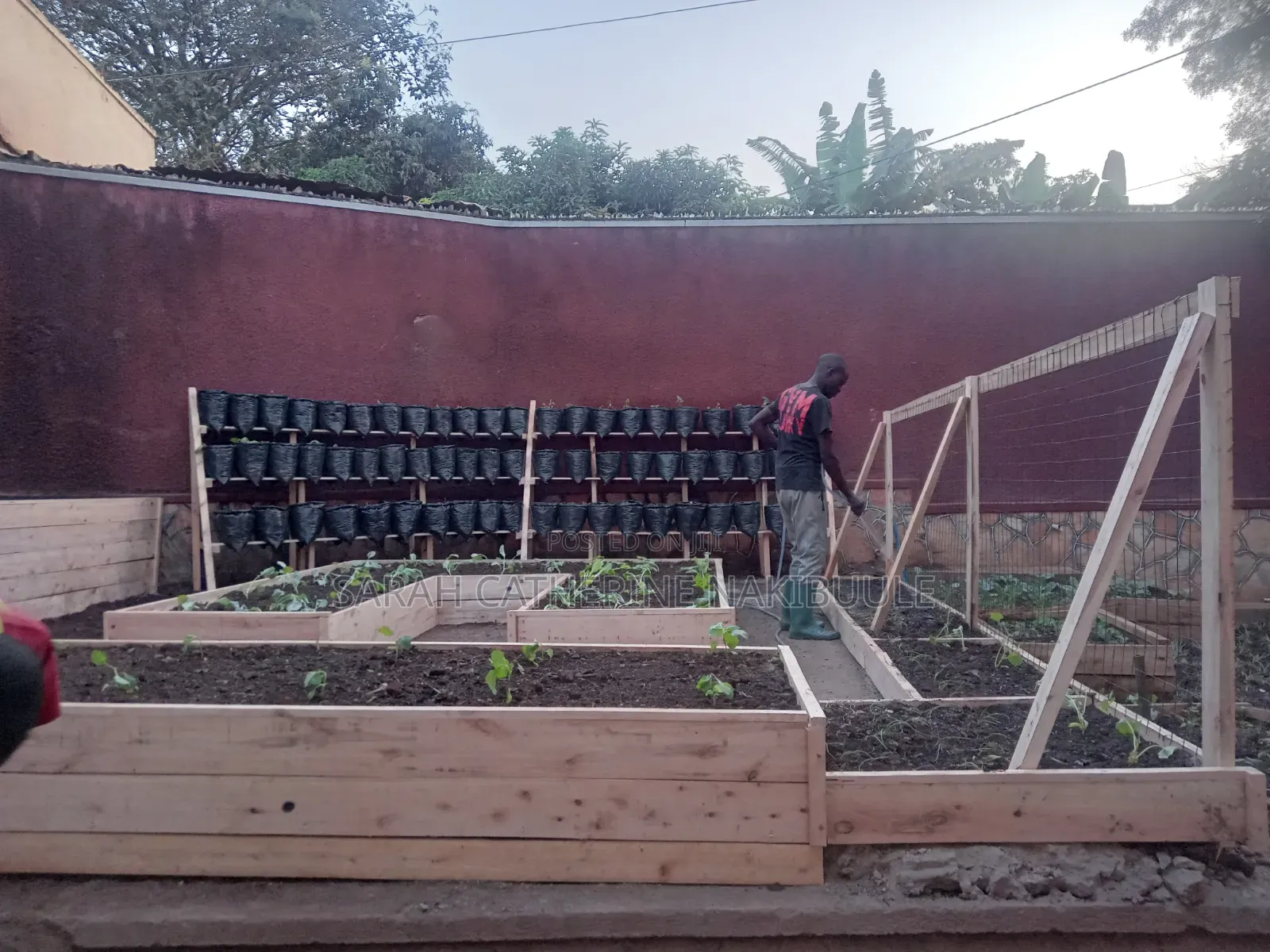 Urban Farming Solutions