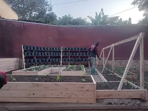 Urban Farming Solutions