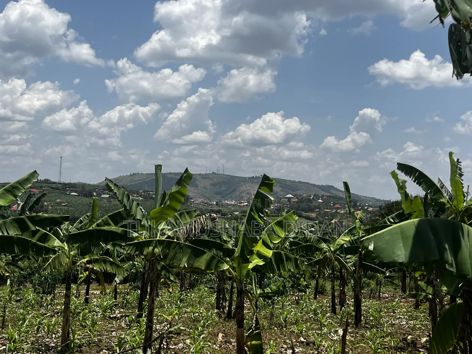 Residential Plots for Sale in Biharwe Mbarara
